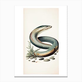 Beaked Sea Snake Vintage Canvas Print