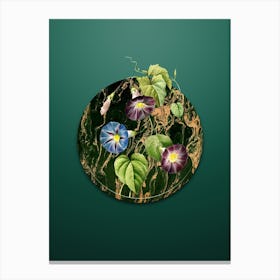 Vintage Morning Glory Botanical in Gilded Marble on Dark Spring Green n.0006 Canvas Print