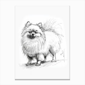 Pomeranian Line Sketch 4 Canvas Print