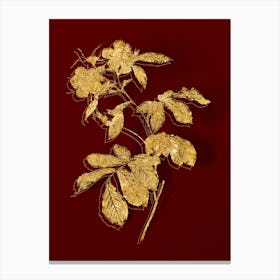 Vintage Pink Alpine Roses Botanical in Gold on Red n.0205 Canvas Print