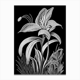 Trout Lily Wildflower Linocut 1 Canvas Print