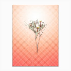 Witsenia Maura Vintage Botanical in Peach Fuzz Tartan Plaid Pattern n.0046 Canvas Print