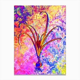 Yellow Autumn Crocus Botanical in Acid Neon Pink Green and Blue n.0341 Canvas Print
