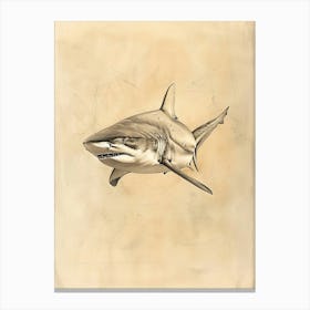Vintage Tiger Shark Pencil Illustration 1 Canvas Print