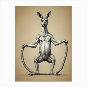 Kangaroo With Rope Canvas Print