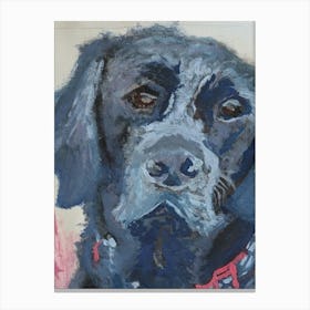 Black Labrador Retriever Canvas Print