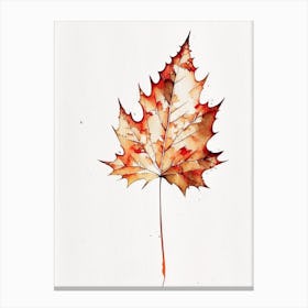 Sugar Maple Leaf Minimalist Watercolour 1 Canvas Print