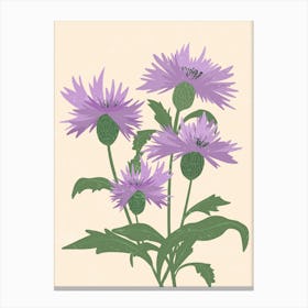 Thistle 1 Canvas Print