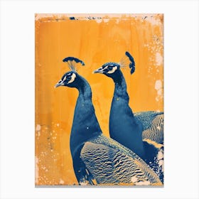 Two Orange & Blue Vintage Peacocks 2 Canvas Print