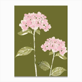 Pink & Green Hydrangea 1 Canvas Print