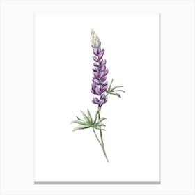 Mystical Purple Lupine Watercolor Art Canvas Print