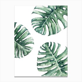 Lush Monstera Leaves In Watercolor Canvas Print