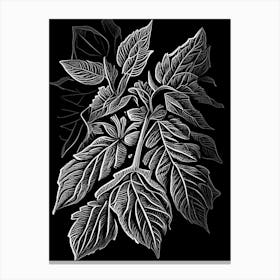 Raspberry Leaf Linocut 1 Canvas Print