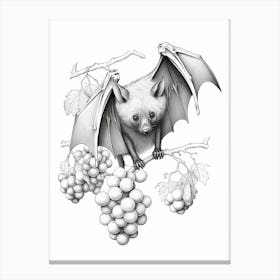 Fruit Bat Vintage Illustration 2 Canvas Print