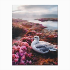 Pink Seagull Canvas Print