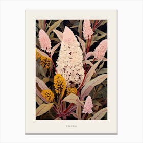 Flower Illustration Celosia 2 Poster Canvas Print