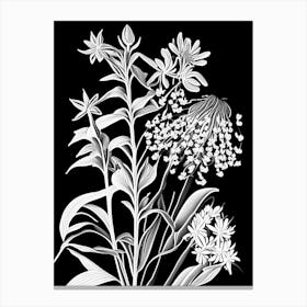 Showy Milkweed Wildflower Linocut 2 Canvas Print