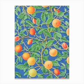Grapefruit Vintage Botanical Fruit Canvas Print
