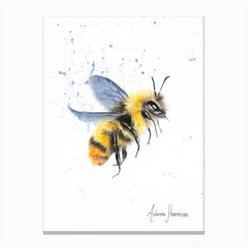 Sun Bee Canvas Print