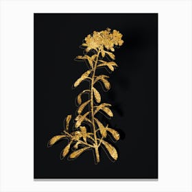 Vintage Small White Flowers Botanical in Gold on Black n.0058 Canvas Print