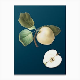 Vintage Astracan Apple Botanical Art on Teal Blue n.0266 Canvas Print