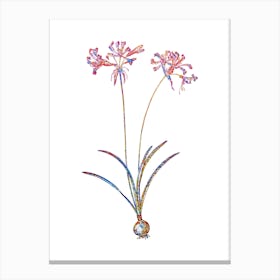 Stained Glass Nerine Mosaic Botanical Illustration on White n.0090 Canvas Print
