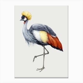 Crowned Crane Canvas Print