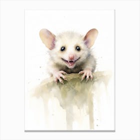 Light Watercolor Painting Of A Acrobatic Possum 4 Canvas Print