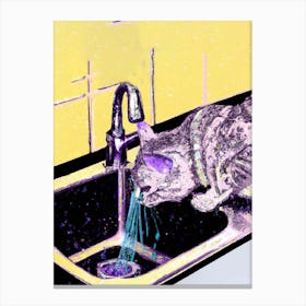 Cat Drinking Water From The Tap Canvas Print