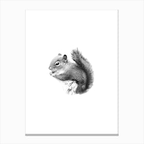 Squirrel Black and White Art Print Boho Minimalist Canvas Print