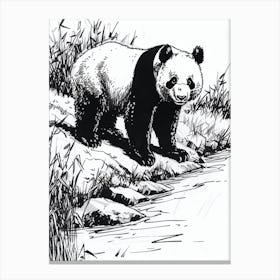 Giant Panda Standing On A Riverbank Ink Illustration 4 Canvas Print