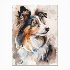 Shetland Sheepdog Watercolor Painting 1 Canvas Print