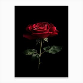 Red Rose On Black Background 20 Canvas Print