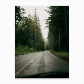 Forest Drive Canvas Print