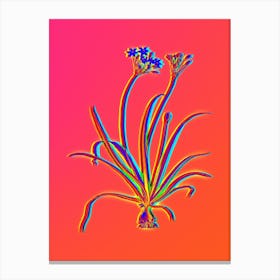 Neon Allium Fragrans Botanical in Hot Pink and Electric Blue n.0257 Canvas Print