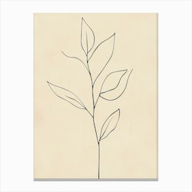 Line Drawing Of A Leaf 55 Canvas Print