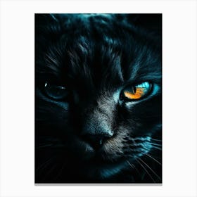 Black Cat With Orange Eyes Canvas Print