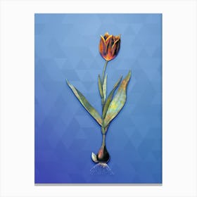 Vintage Tulip Botanical Art on Blue Perennial Canvas Print