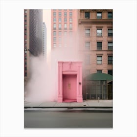 Pink Door 2 Canvas Print