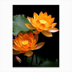 Lotus Flower 2 Canvas Print