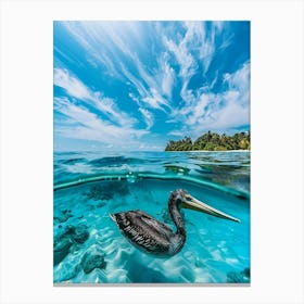 Pelican In The Water Canvas Print