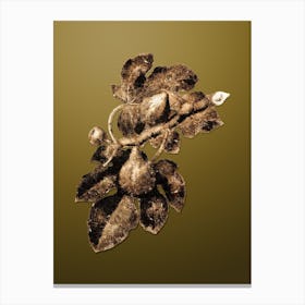Gold Botanical Fig on Dune Yellow n.3384 Canvas Print