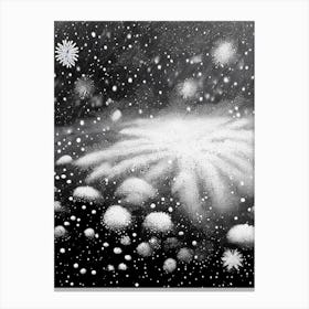 Graupel, Snowflakes, Black & White 1 Canvas Print