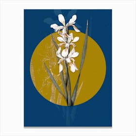 Vintage Botanical Yellow Banded Iris on Circle Yellow on Blue Canvas Print