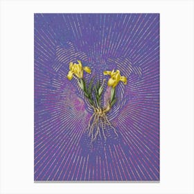 Vintage Sand Iris Botanical Illustration on Veri Peri n.0148 Canvas Print