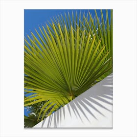 Green palm leaf and blue sky Canvas Print