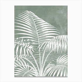 Palm Tree Leaves in Sage Green, Tropical Botanical 1 Canvas Print