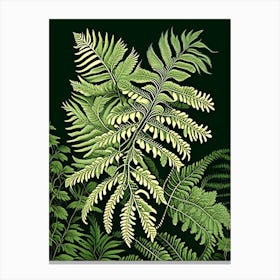 Japanese Climbing Fern Vintage Botanical Poster Canvas Print