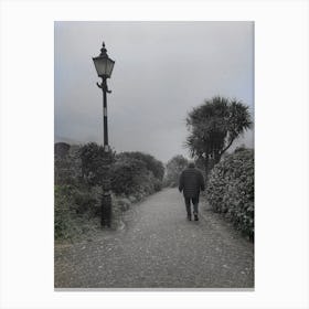 A lonely walk Canvas Print