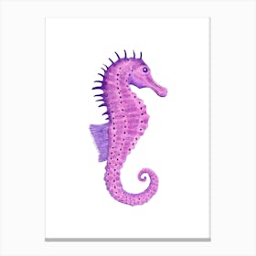 Seahorse Canvas Print